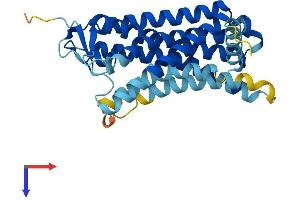 Olfactory Receptor, Family 5, Subfamily B, Member 3 (OR5B3) (AA 1-314) protein (His tag)