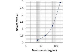 Image no. 2 for Trastuzumab specific ELISA Kit (ABIN3172722)