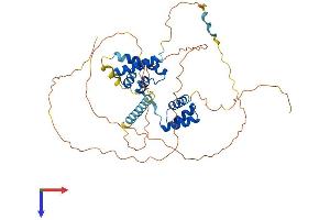 AlphaFold protein structure predicition of Human Recombinant POU3F2 Protein, UniprotID P20265