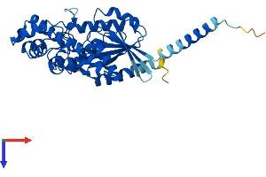 AlphaFold protein structure predicition of Mouse Recombinant Gna14 Protein, UniprotID P30677