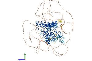 AlphaFold protein structure predicition of Mouse Recombinant Ehmt1 Protein, UniprotID Q5DW34