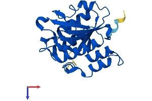 AlphaFold protein structure predicition of Human Recombinant ISOC2 Protein, UniprotID Q96AB3