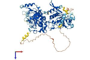 AlphaFold protein structure predicition of Mouse Recombinant Ext1 Protein, UniprotID P97464