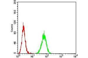 Flow cytometric analysis of Hela cells using IL1R1 mouse mAb (green) and negative control (red).