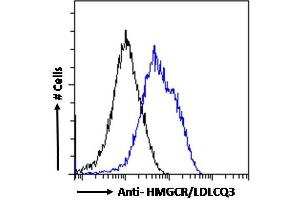 ABIN570699 Flow cytometric analysis of paraformaldehyde fixed A549 cells (blue line), permeabilized with 0. (HMGCR anticorps  (Internal Region))