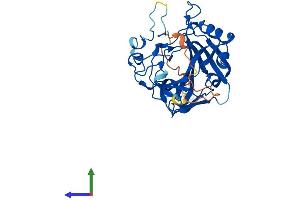 AlphaFold protein structure predicition of Mouse Recombinant Ca10 Protein, UniprotID P61215
