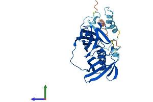 AlphaFold protein structure predicition of Human Recombinant ACOT8 Protein, UniprotID O14734