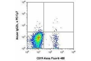 Flow Cytometry (FACS) image for anti-Chemokine (C-C Motif) Receptor 6 (CCR6) antibody (PE-Cy7) (ABIN2659155) (CCR6 anticorps  (PE-Cy7))