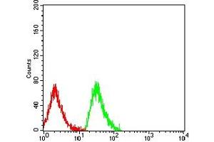 Flow cytometric analysis of MOLT4 cells using EDA2R mouse mAb (green) and negative control (red).