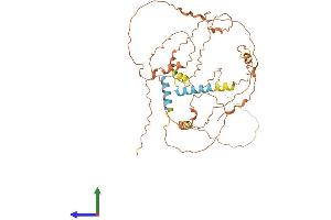 AlphaFold protein structure predicition of Human Recombinant C9orf50 Protein, UniprotID Q5SZB4