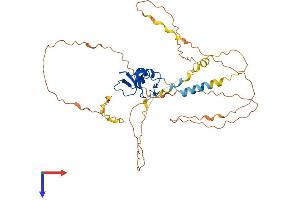 AlphaFold protein structure predicition of Mouse Recombinant Rnf44 Protein, UniprotID Q3UHJ8
