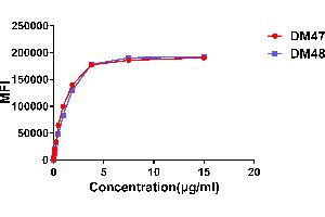 Affinity ranking of different Rabbit anti- mAb clones by titration of different concentration onto Expi 293 cell line transfected with human .