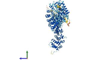 AlphaFold protein structure predicition of Human Recombinant UNC45A Protein, UniprotID Q9H3U1