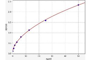 14-3-3 theta (YWHAQ) ELISA Kit
