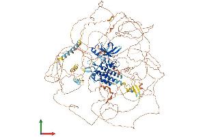 AlphaFold protein structure predicition of Mouse Recombinant Lmtk2 Protein, UniprotID Q3TYD6