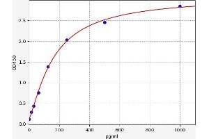 Typical standard curve (Calcium/calmodulin-Dependent Protein Kinase II (CAMK2) Kit ELISA)