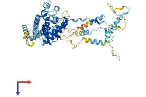 AlphaFold protein structure predicition of Mouse Recombinant Prpf31 Protein, UniprotID Q8CCF0