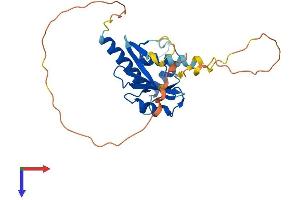 AlphaFold protein structure predicition of Human Recombinant CISH Protein, UniprotID Q9NSE2
