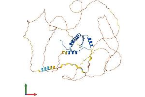 AlphaFold protein structure predicition of Human Recombinant MEF2A Protein, UniprotID Q02078