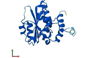 AlphaFold protein structure predicition of Human Recombinant TPRKB Protein, UniprotID Q9Y3C4