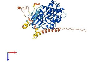 AlphaFold protein structure predicition of Mouse Recombinant Sgk1 Protein, UniprotID Q9WVC6