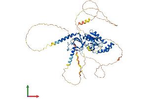AlphaFold protein structure predicition of Human Recombinant CACNB1 Protein, UniprotID Q02641