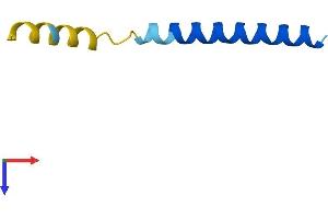 AlphaFold protein structure predicition of Mouse Recombinant Pln Protein, UniprotID P61014