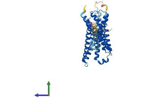 AlphaFold protein structure predicition of Human Recombinant FFAR2 Protein, UniprotID O15552