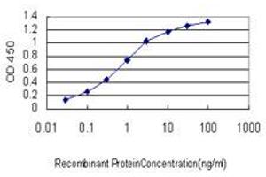 Detection limit for recombinant GST tagged MCPH1 is approximately 0. (MCPH1 anticorps  (AA 399-487))