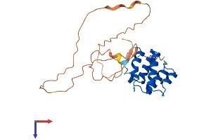 AlphaFold protein structure predicition of Human Recombinant CARD19 Protein, UniprotID Q96LW7