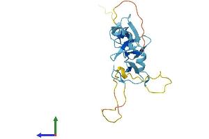 AlphaFold protein structure predicition of Human Recombinant CSRP3 Protein, UniprotID P50461