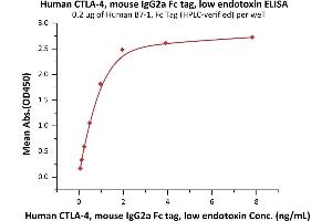 Immobilized Human B7-1, Fc Tag (Hied) (ABIN2180846,ABIN2180845) at 2 μg/mL (100 μL/well) can bind Human CTLA-4, mouse IgG2a Fc tag, low endotoxin (ABIN4949091,ABIN4949092) with a linear range of 0.