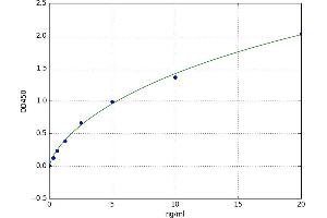 Complement C3 beta Chain (C3b) ELISA Kit