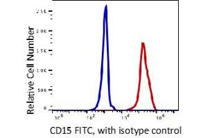 Image no. 2 for anti-Fucosyltransferase 4 (Alpha (1,3) Fucosyltransferase, Myeloid-Specific) (FUT4) antibody (FITC) (ABIN5067827)