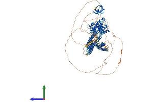 AlphaFold protein structure predicition of Human Recombinant SRGAP2 Protein, UniprotID O75044