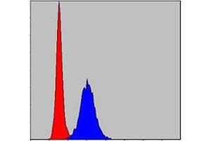 Flow cytometric analysis of Hela cells using MMP9 mouse mAb (blue) and negative control (red).