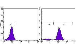 Flow Cytometry (FACS) image for anti-Prostate Specific Antigen (PSA) (AA 26-251) antibody (ABIN2983296) (Prostate Specific Antigen anticorps  (AA 26-251))