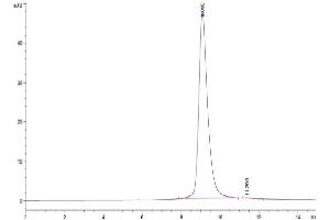 The purity of Cynomolgus NKG2D is greater than 95 % as determined by SEC-HPLC.