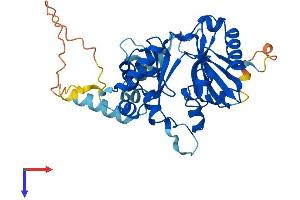 AlphaFold protein structure predicition of Human Recombinant CDC123 Protein, UniprotID O75794