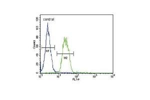 S6A12 Antibody (N-term) (ABIN654460 and ABIN2844193) flow cytometric analysis of MDA-M cells (right histogram) compared to a negative control cell (left histogram).