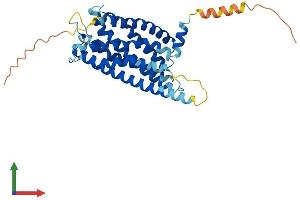 AlphaFold protein structure predicition of Human Recombinant P2RY12 Protein, UniprotID Q9H244