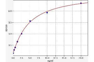 Regenerating Islet-Derived 1 beta (REG1B) ELISA Kit