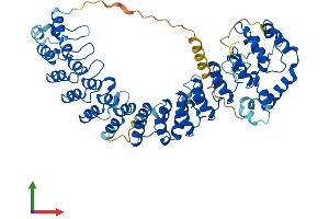 AlphaFold protein structure predicition of Human Recombinant ASB14 Protein, UniprotID A6NK59