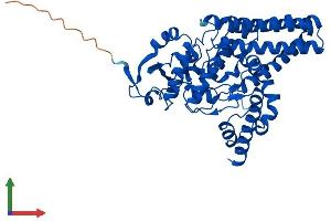 AlphaFold protein structure predicition of Human Recombinant FADS2 Protein, UniprotID O95864