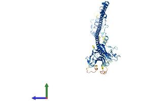 AlphaFold protein structure predicition of Mouse Recombinant Trim6 Protein, UniprotID Q8BGE7