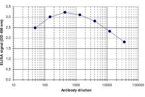 ELISA was performed using a serial dilution of CHD5 polyclonal antibody . (CHD5 anticorps)