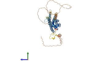 AlphaFold protein structure predicition of Human Recombinant SLC30A1 Protein, UniprotID Q9Y6M5