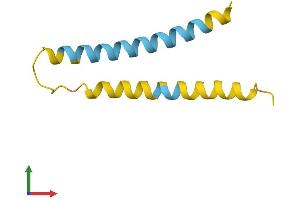AlphaFold protein structure predicition of Human Recombinant NNAT Protein, UniprotID Q16517