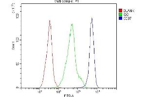 anti-ADGRE5 (AA 287-816) antibody
