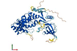 AlphaFold protein structure predicition of Mouse Recombinant Azin1 Protein, UniprotID O35484